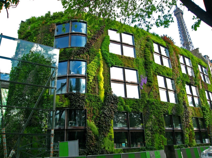 15 vertical gardens around the world