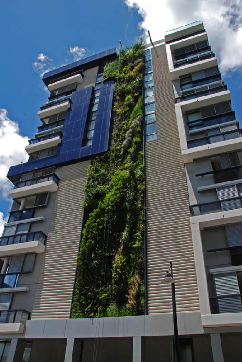 15 vertical gardens around the world