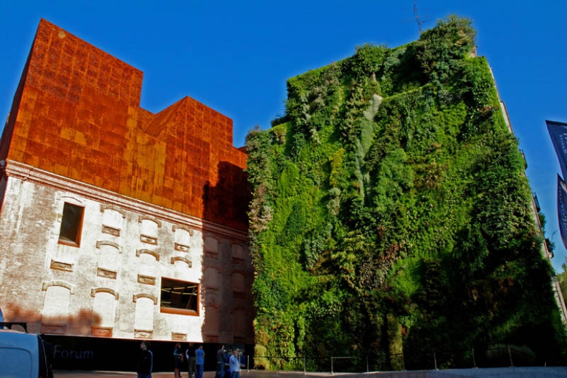 15 vertical gardens around the world