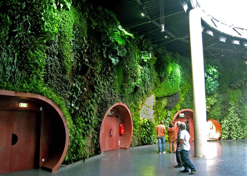 15 vertical gardens around the world