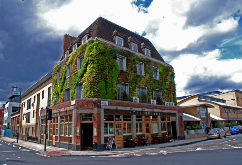 15 vertical gardens around the world