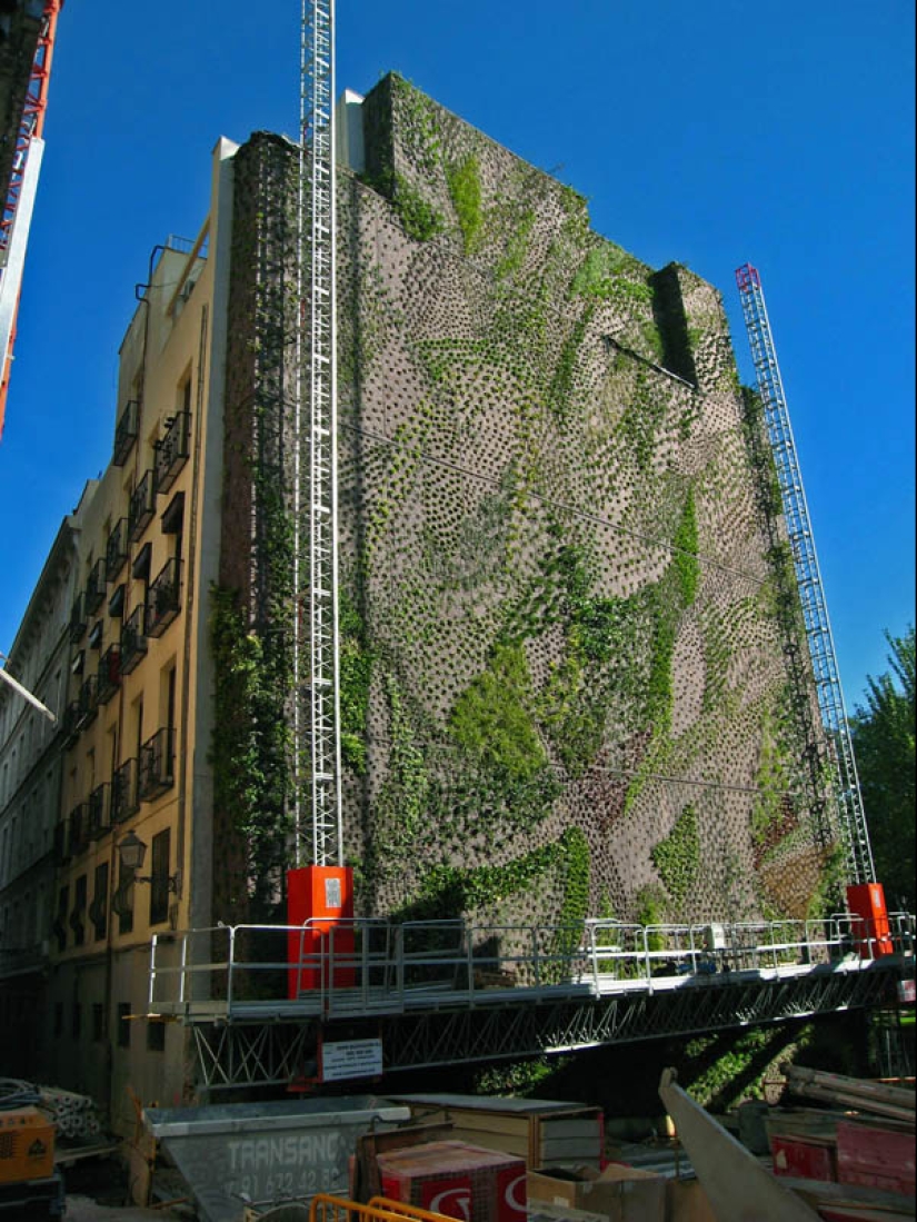 15 vertical gardens around the world