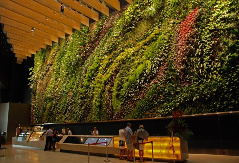 15 vertical gardens around the world