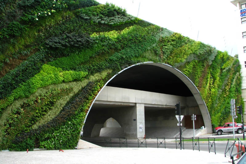 15 vertical gardens around the world