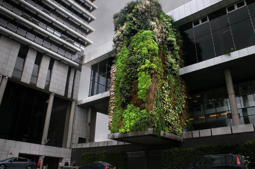 15 vertical gardens around the world