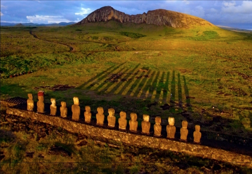 16 emocionante de especies en la tierra, de la cual mareado