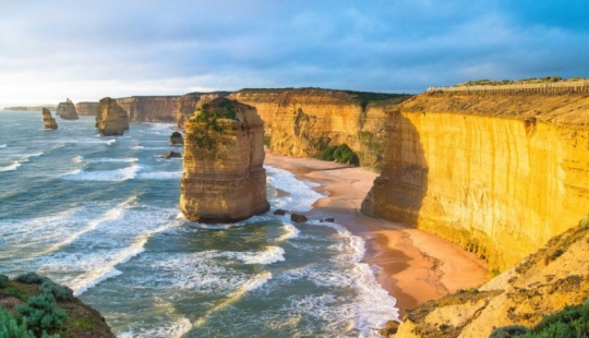 16 exciting species on earth, from which dizzy