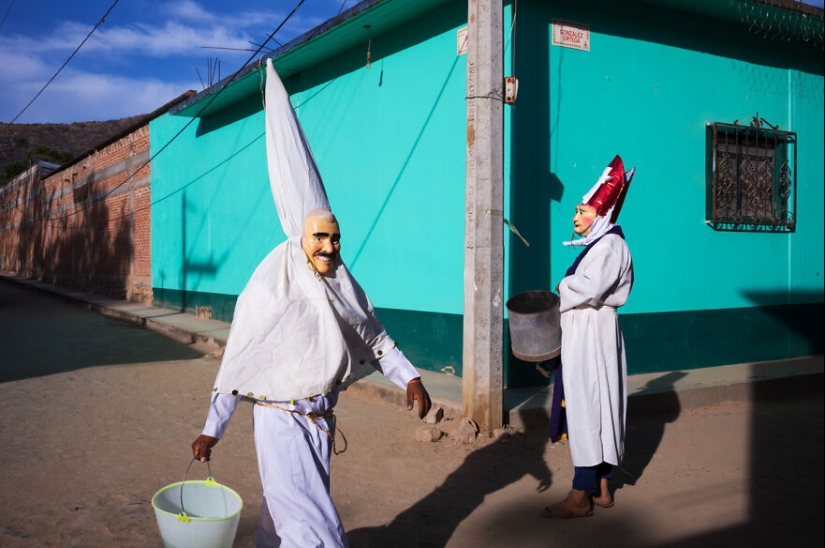 16 fotografías impactantes del 43.° concurso de la revista AAP que celebran los colores vibrantes