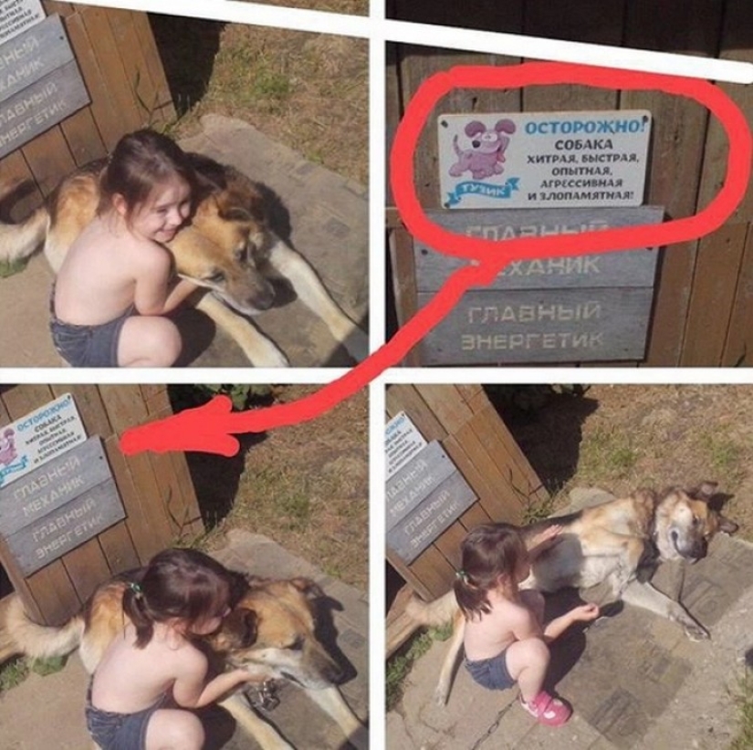 16 signs from the owners with a great sense of humor