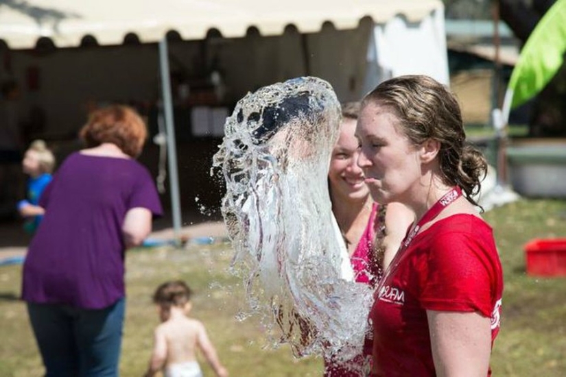 16 small domestic disasters that accidentally became the highlight of the photo