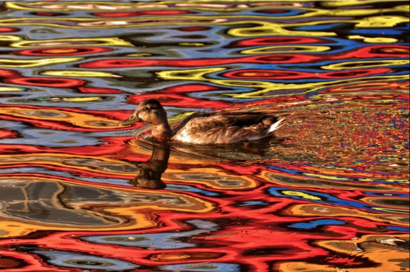 17 fotos que hacen volar el cerebro sin photoshop