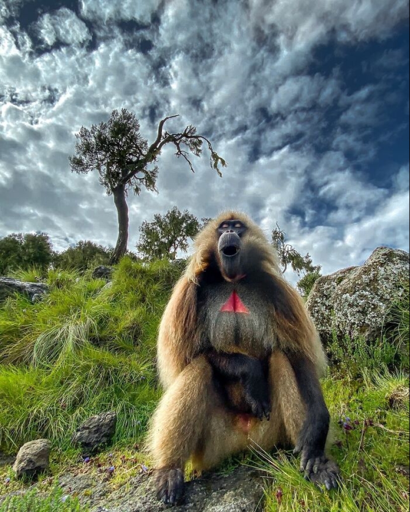 17 Incredible Shots By Indian Wildlife Photographer, Varun Aditya