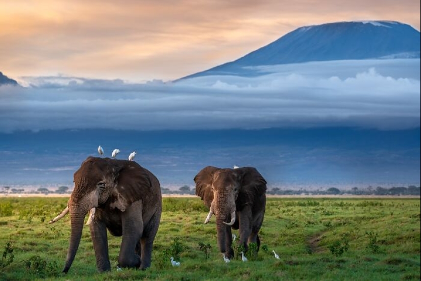 17 Incredible Shots By Indian Wildlife Photographer, Varun Aditya