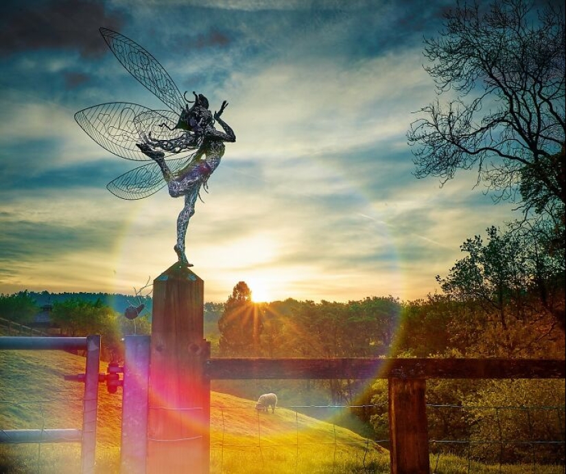 17 Magical Wire Sculptures Of Fairies, Created By Robin Wight