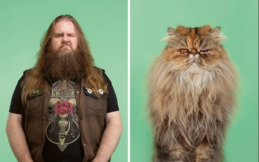 17 portraits of cats and people, incredibly similar to each other