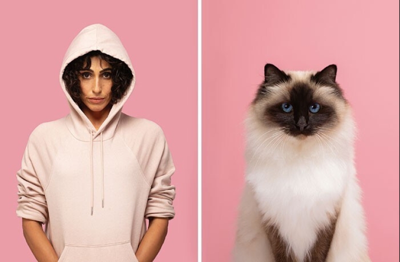 17 portraits of cats and people, incredibly similar to each other