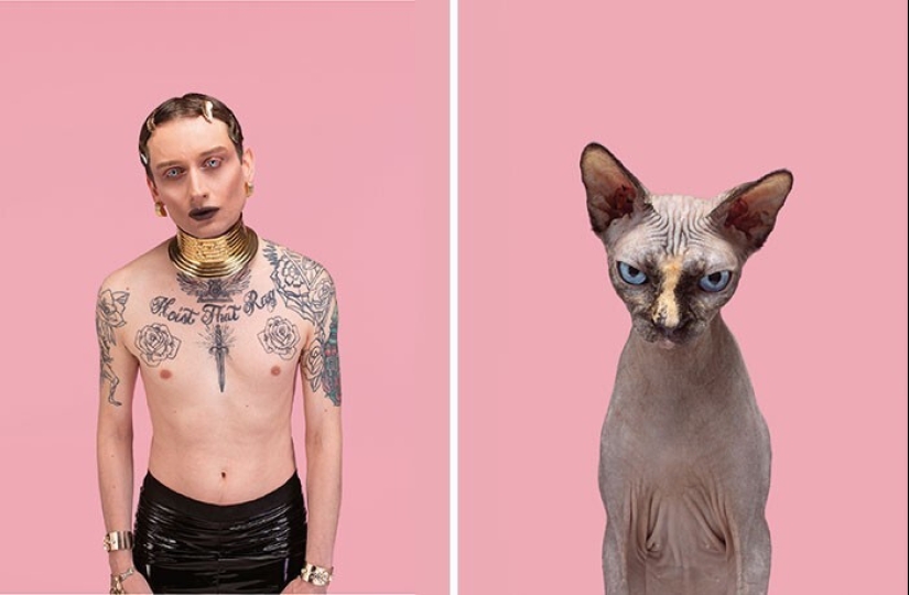 17 portraits of cats and people, incredibly similar to each other