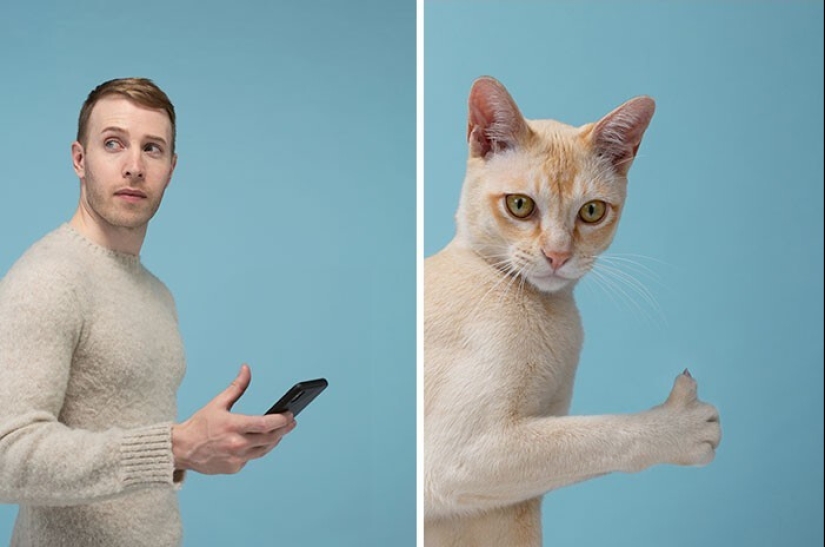 17 portraits of cats and people, incredibly similar to each other