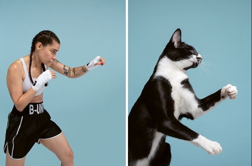 17 portraits of cats and people, incredibly similar to each other