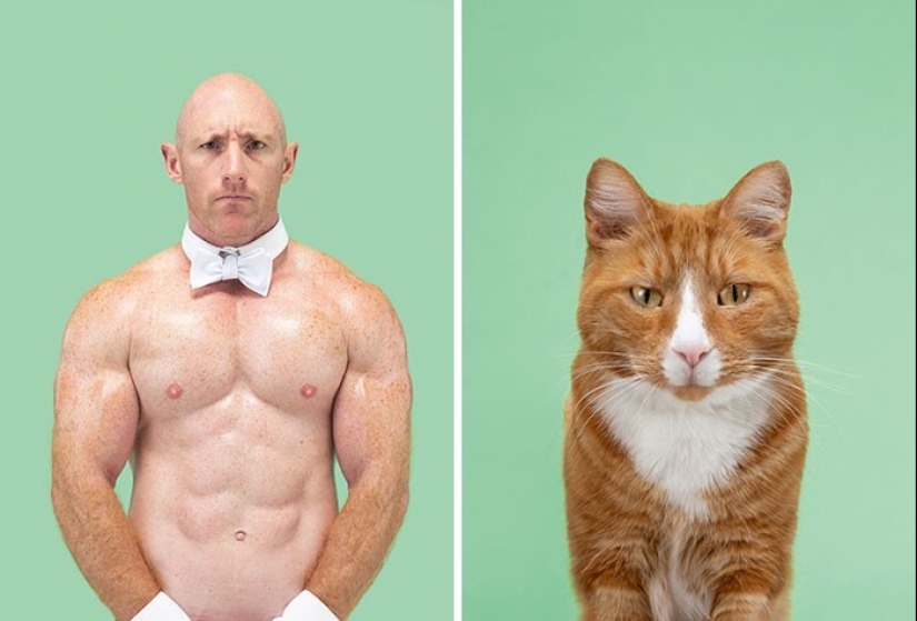 17 portraits of cats and people, incredibly similar to each other