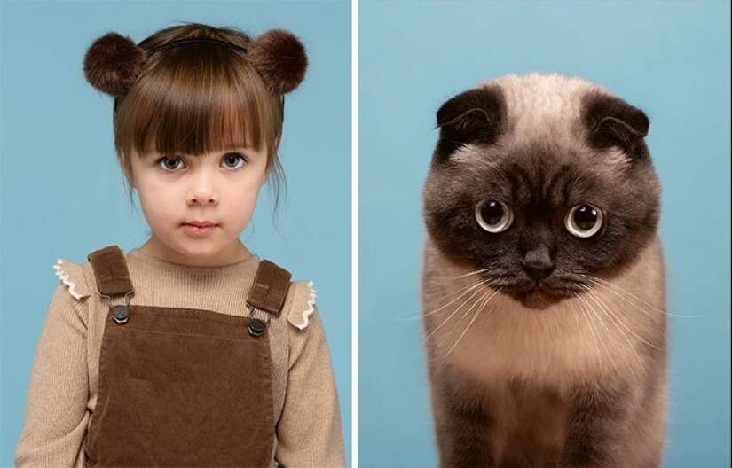 17 portraits of cats and people, incredibly similar to each other