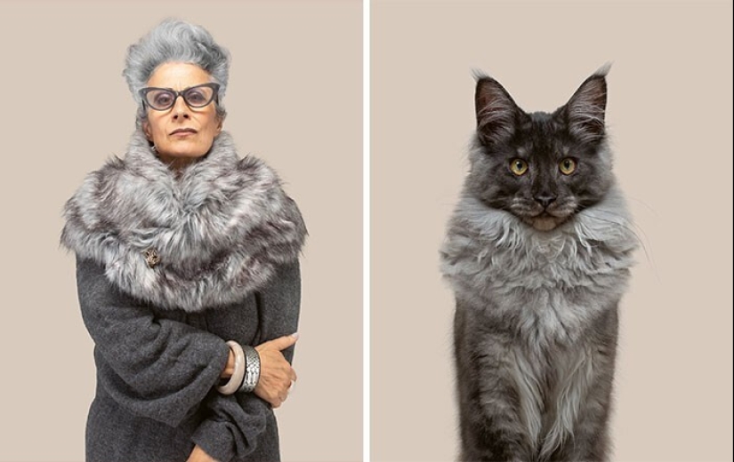 17 portraits of cats and people, incredibly similar to each other