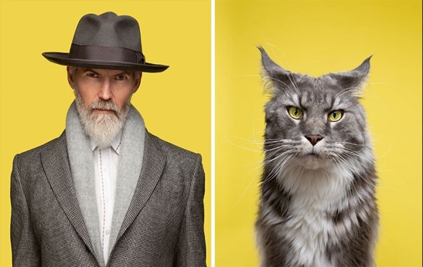 17 portraits of cats and people, incredibly similar to each other