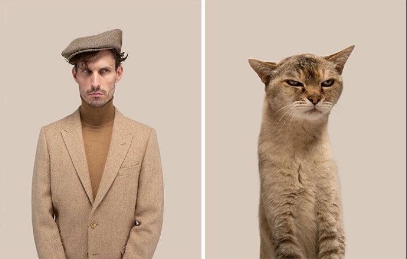 17 portraits of cats and people, incredibly similar to each other