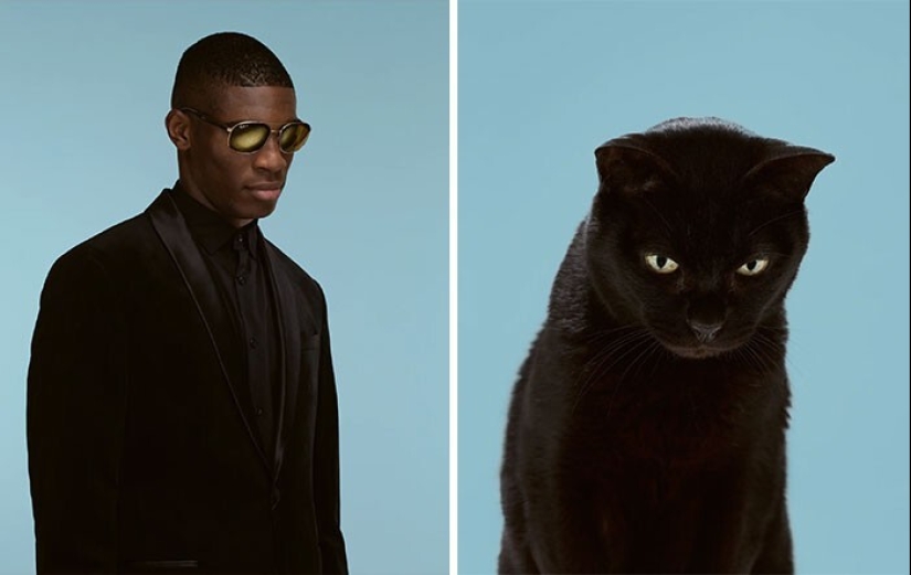 17 portraits of cats and people, incredibly similar to each other