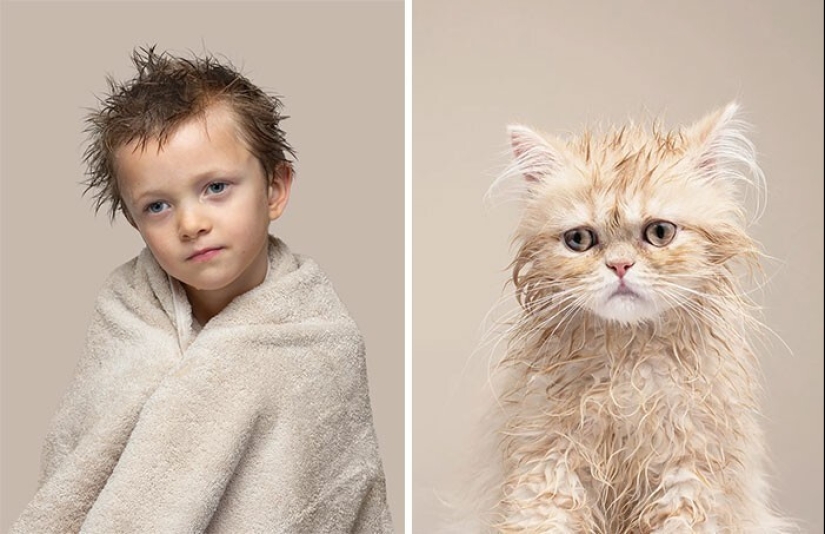 17 portraits of cats and people, incredibly similar to each other