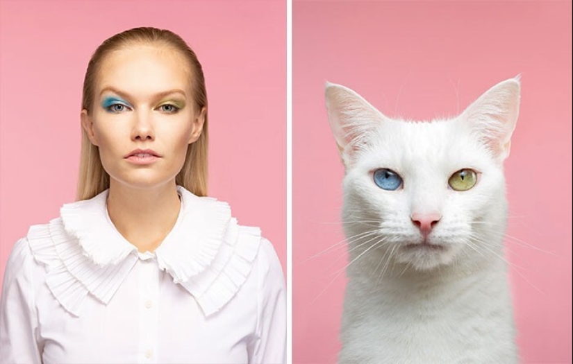 17 portraits of cats and people, incredibly similar to each other