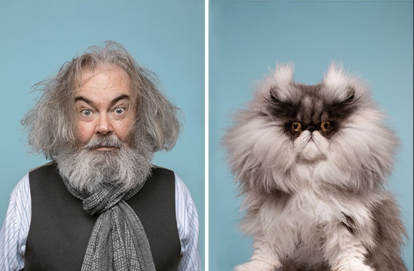 17 portraits of cats and people, incredibly similar to each other