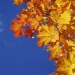 17 reasons to rejoice at the arrival of autumn