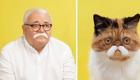 17 retratos de gatos y personas, increíblemente similares entre sí