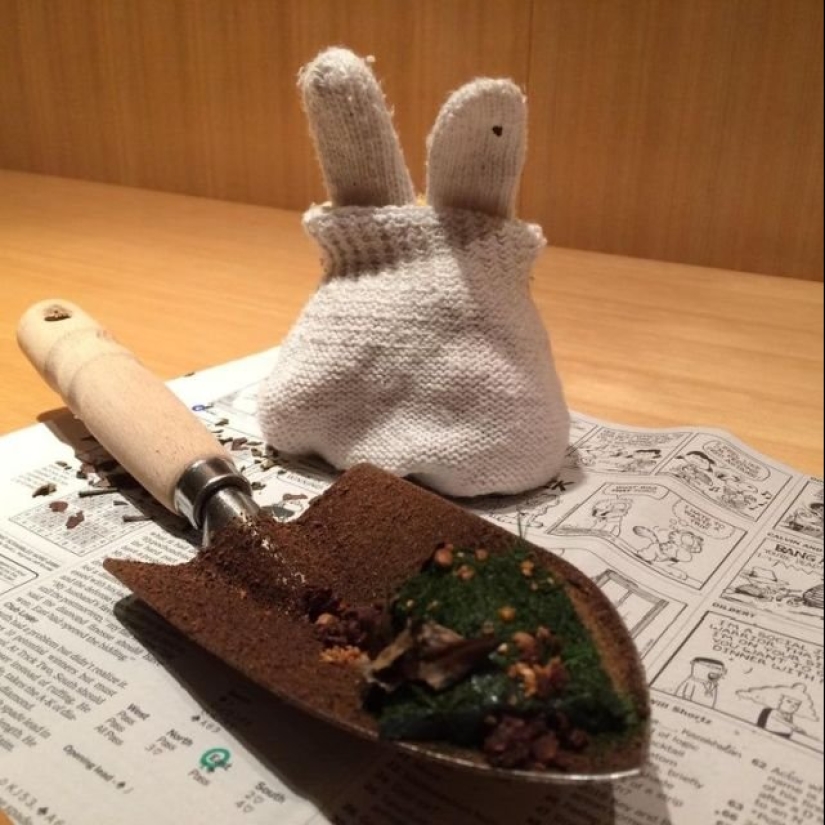 17 strange dishes from Michelin restaurants