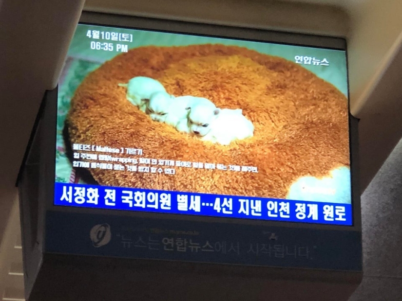 17 wonderful things that South Koreans are used to