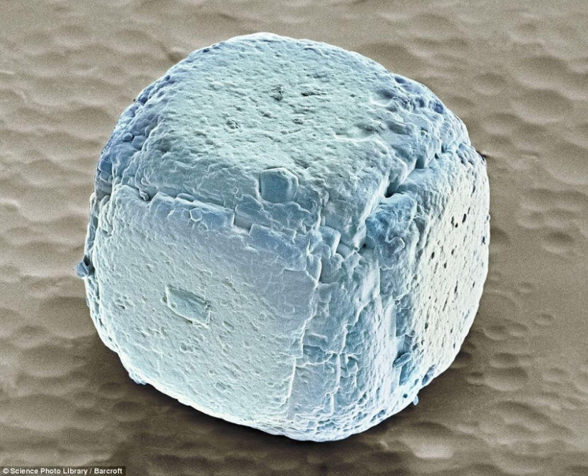 18 fotos increíbles de productos bajo el microscopio