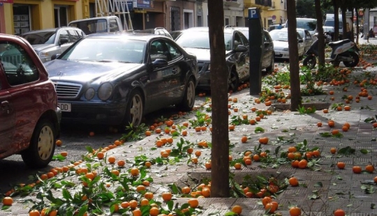 18 hermosas fotos que distraerán de la rutina diaria