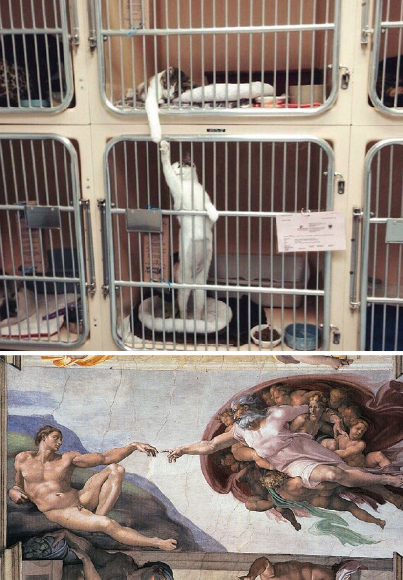 18 photos where life imitates art, and not the other way around