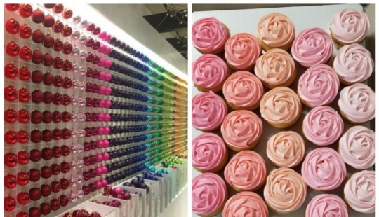 19 perfect photos that will bring visual enjoyment