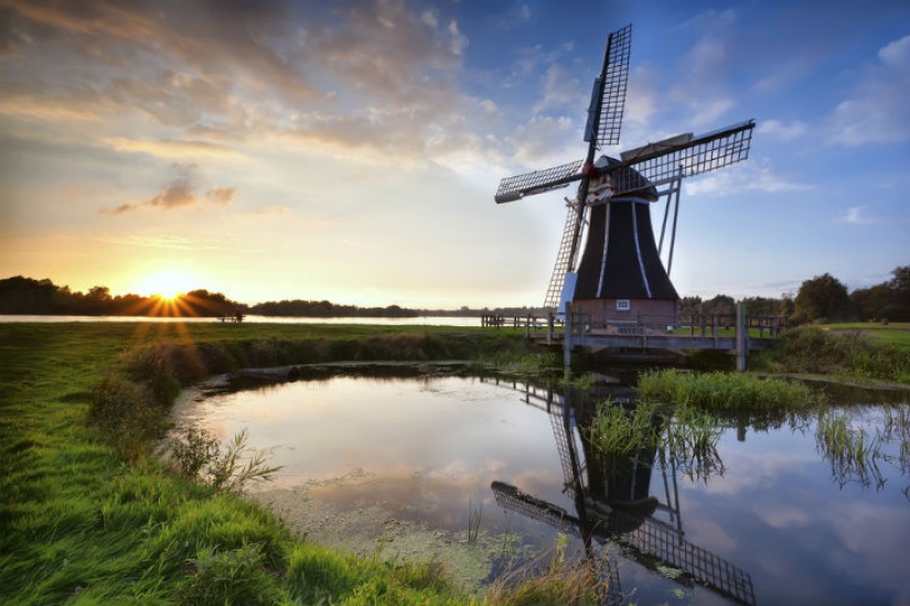 19 reasons to love the Netherlands