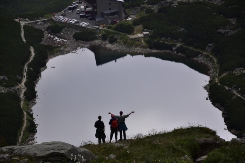 20 accidentes en la matriz: estas fotos son completamente reales, sin photoshop