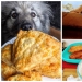 20 animales a los que simplemente no se les puede negar comida