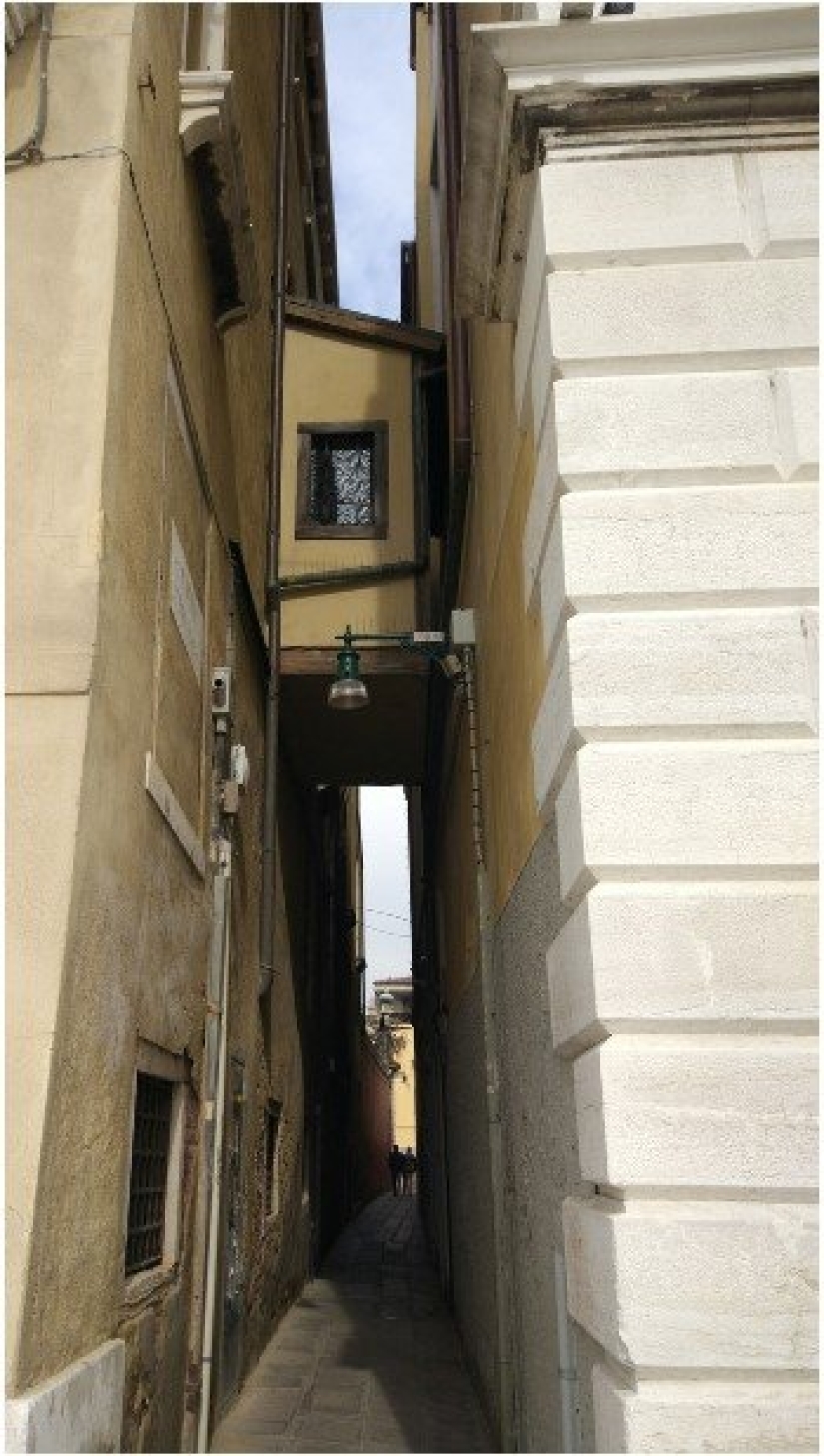 20 balcones que pueden decir mucho sobre cucarachas en la cabeza de sus dueños