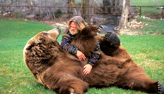 20 bellies that need to be scratched immediately 20 bellies that need to be scratched immediately