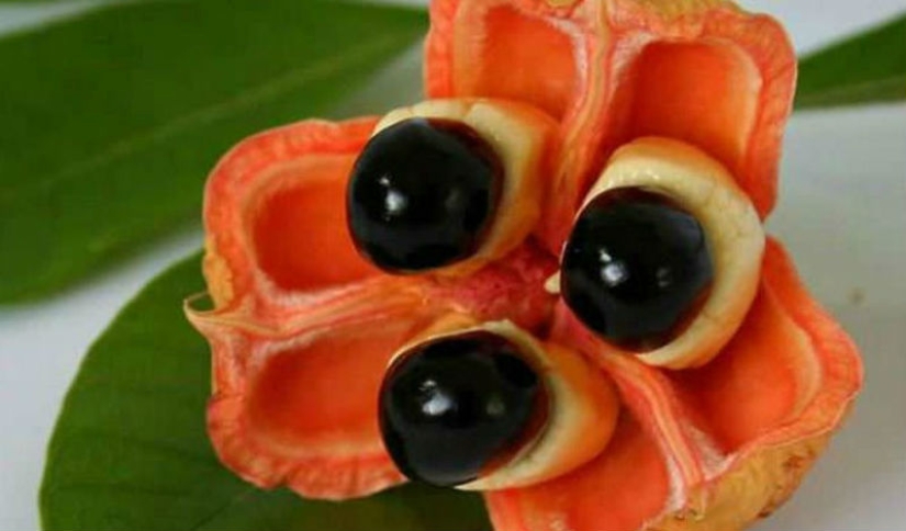 20 de frutas exóticas de todo el mundo, que usted nunca escuchó