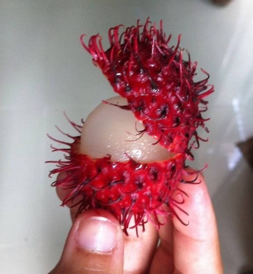 20 delicious examples of how to look "naked" fruit