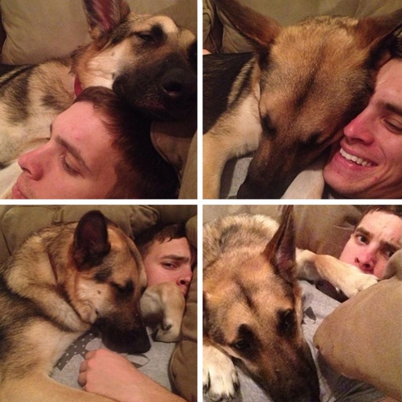 20 dogs who have no idea about personal space