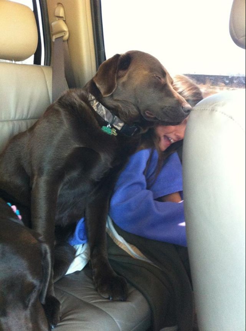 20 dogs who have no idea about personal space