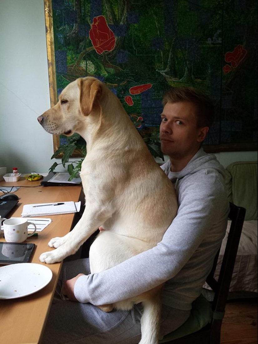 20 dogs who have no idea about personal space